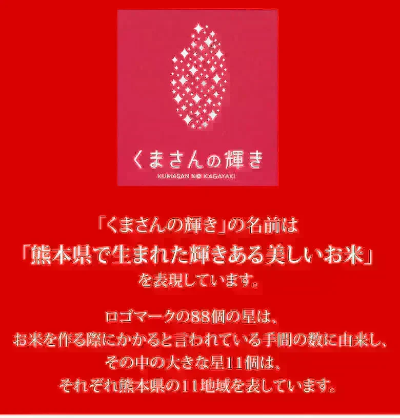 米 くまさんの輝き 【無洗米300g】 白米 送料無料  お試し 令和7年産 熊本県産 お米 白米 玄米 コシヒカリ ヒノヒカリ 森のくまさん