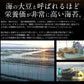 海苔 有明海産 焼のり 40枚 全型 訳あり 食品 板のり 有明海苔 焼海苔 焼きのり 美味しい 自宅用 のり おにぎり 有明産 やきのり 手巻き寿司 おいしい 絶品 わけあり ワケあり 訳あり商品 ［送料無料］［ゆうパケット］ 母の日 プレゼント ギフト  母の日思いの 健康 実用的【エコ得】 ※ポスト投函商品の発送は1～2週間前後になります