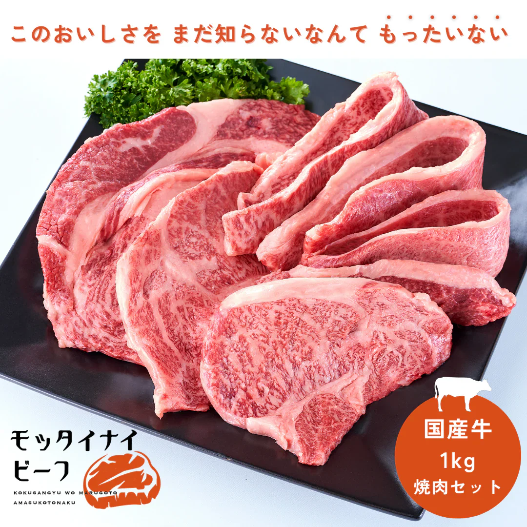 モッタイナイビーフ（和牛入り 国産牛 1kg）
