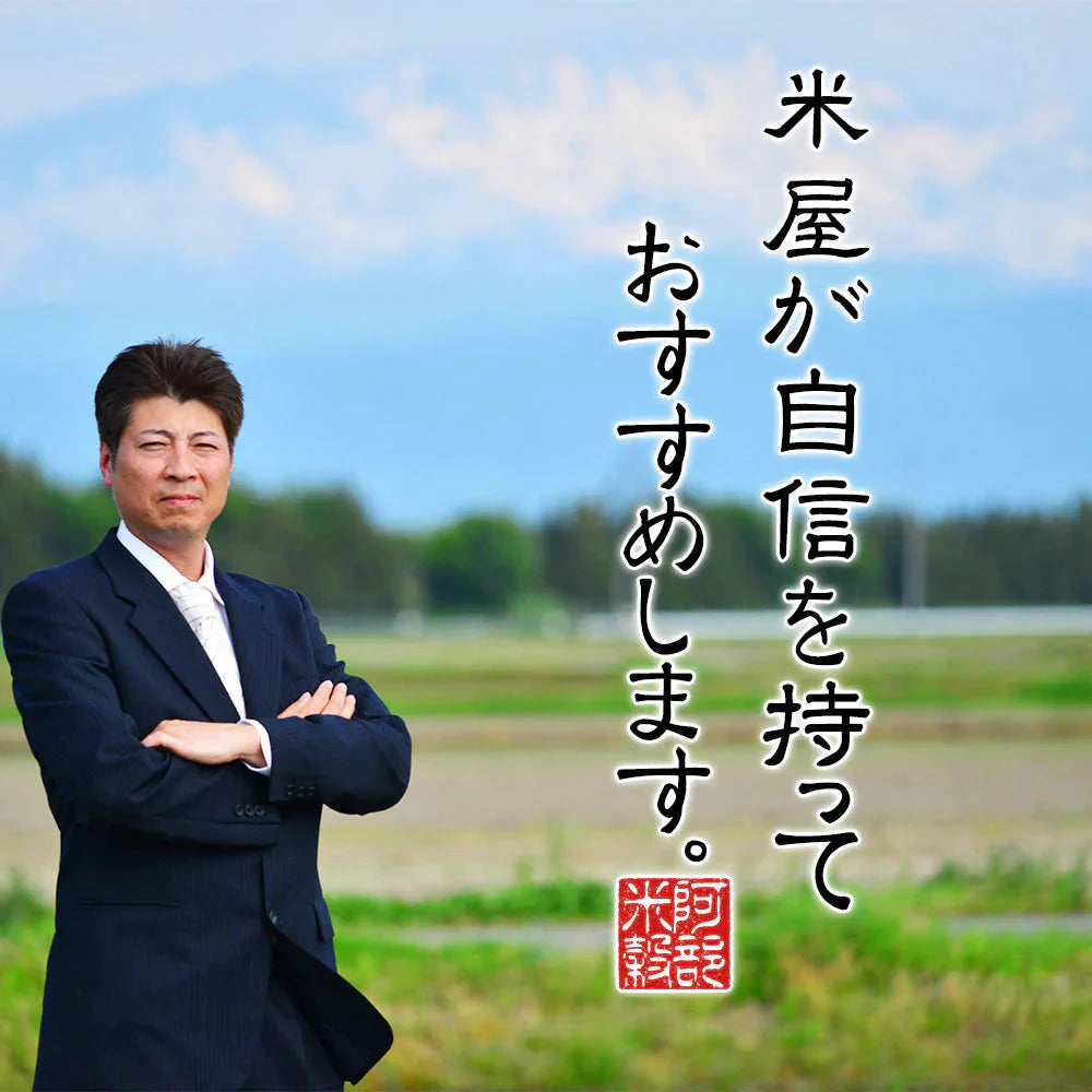 もち米 20kg (5kg×4袋) 山形県産 ヒメノモチ 令和7年産 餅米 国内産 新米