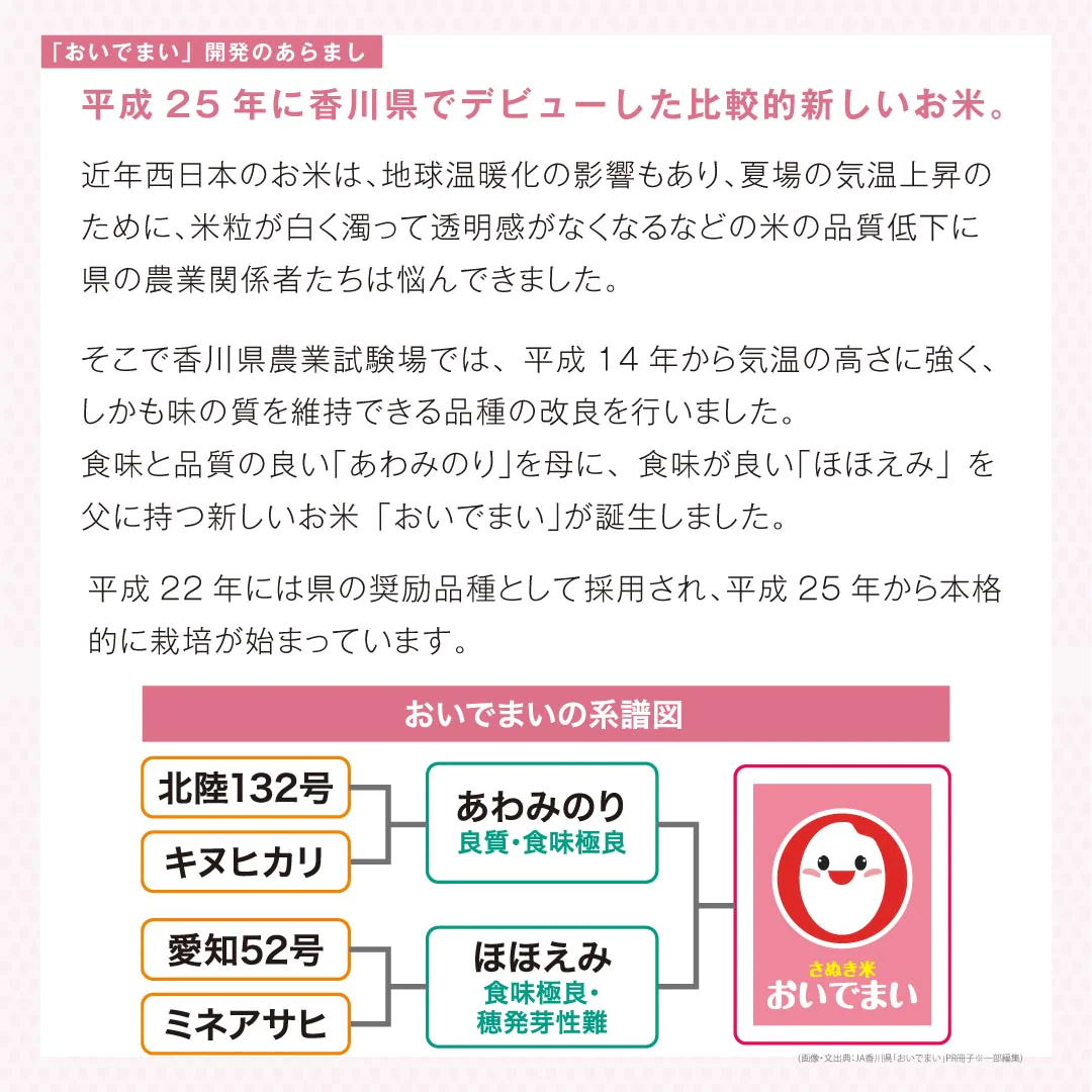 米 精米 香川県産 おいでまい 10kg (5kg×2) 令和5年産 新米 お米 白米 おくさま印 国産 食品 ギフト 引っ越し 挨拶 出産 内祝い 母の日 父の日 お中元 お歳暮 結婚 快気 還暦 香典返し お年賀 送料無料