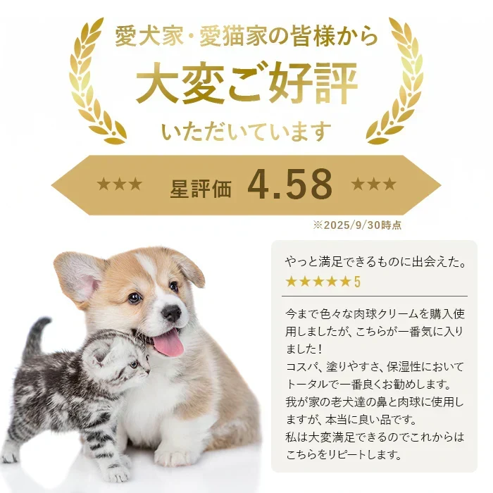 肉球クリーム 鼻の保湿クリーム 50g　Pawline（パウライン）