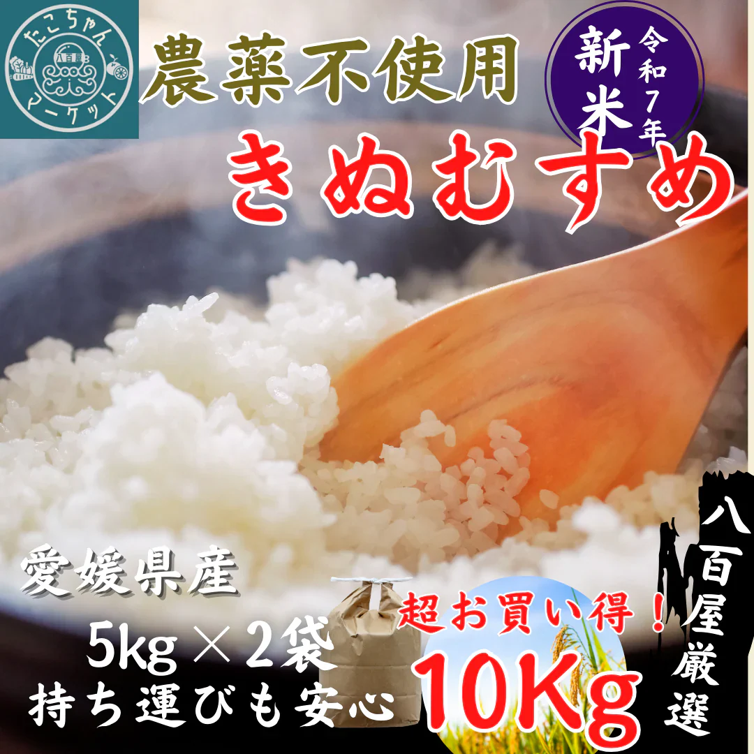 農薬不使用！愛媛の自然が育んだきぬむすめ（白米）　10Kg　令和7年度　新米　きぬむすめ　愛媛県産　お米・新米・無農薬