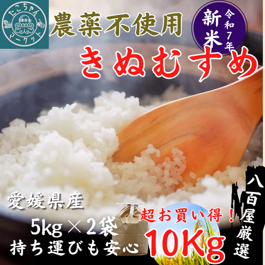 農薬不使用！愛媛の自然が育んだきぬむすめ（白米）　10Kg　令和7年度　新米　きぬむすめ　愛媛県産　お米・新米・無農薬