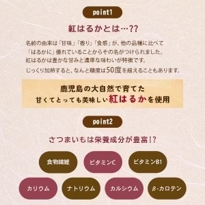 干し芋 紅はるか 250g 送料無料 さつまいも サツマイモ 冷凍焼き芋 産地直送 産直 さつま芋 薩摩芋 焼きいも 石焼き芋 芋 いも イモ 鹿児島県産 FJK-010