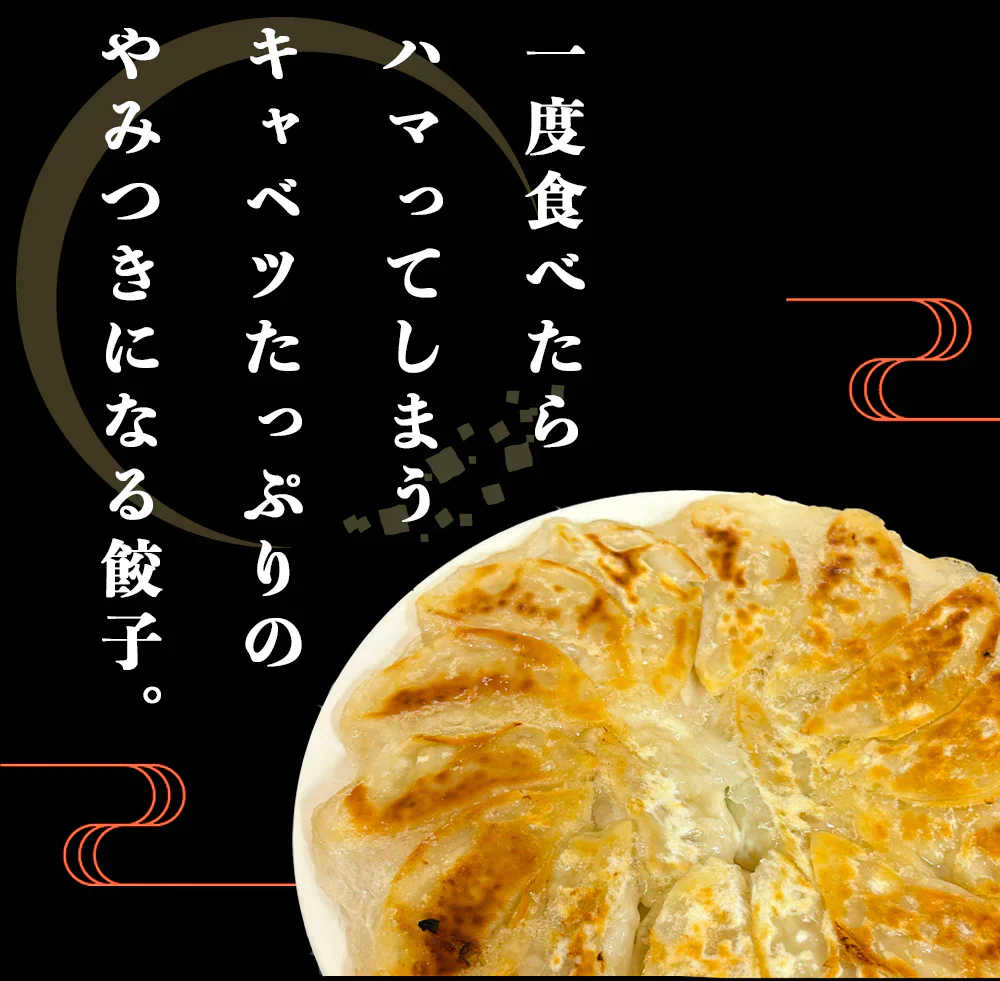 太宰府ぎょうざ ぎょうざ 餃子 96個 270g 送料無料 にんにく 中華 冷凍食品 お取り寄せ ギフト おかず 冷凍餃子  福岡県産 rep-001