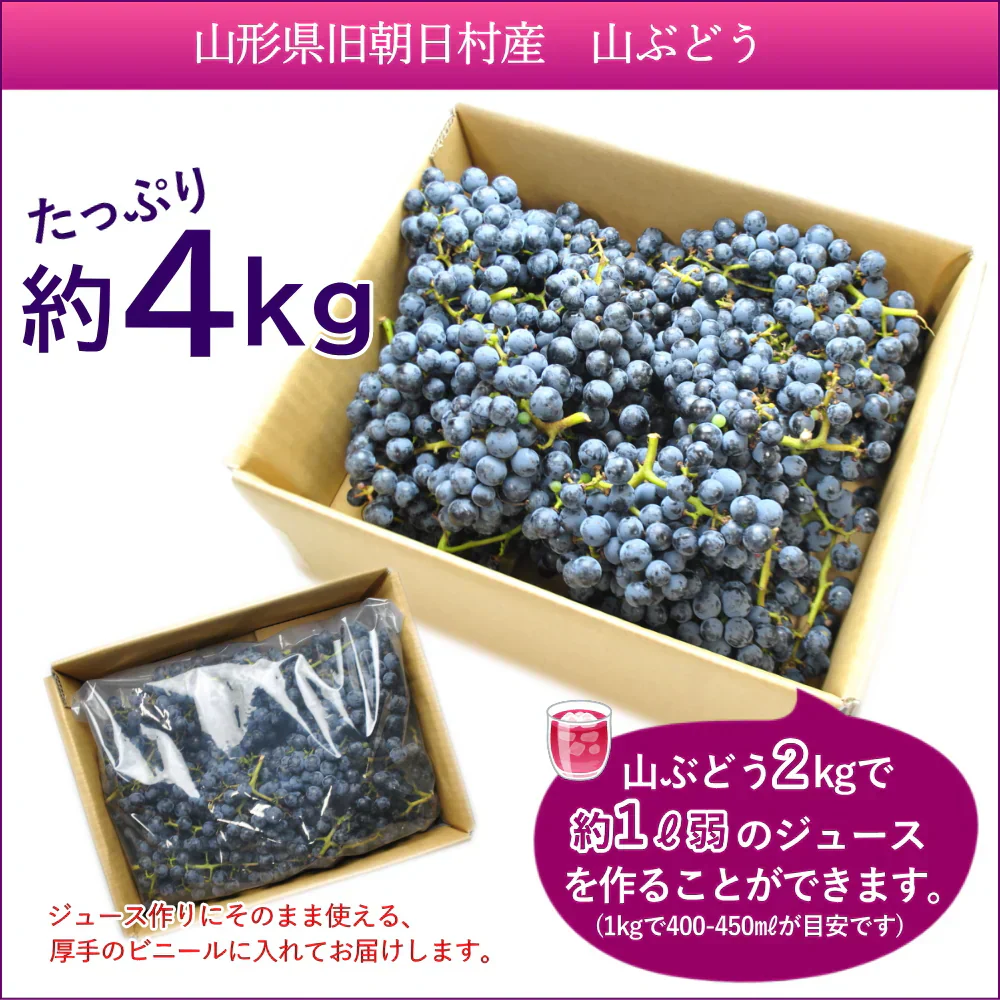 山ぶどう 約4kg 葡萄 ブドウ 山形産 国産 ご家庭用 バラ詰め