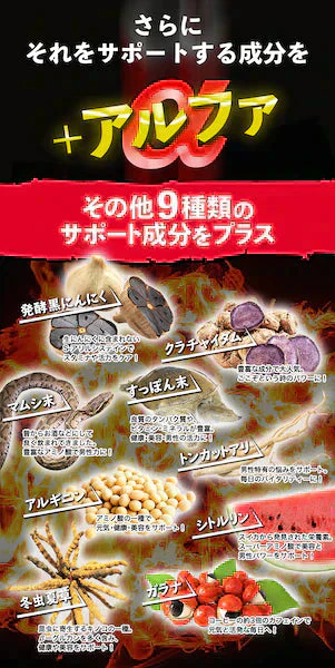 【大容量★約6ヶ月分】healthylife マカ・亜鉛＋アルファ【男性の元気と妊活に！】大容量360粒 マカ 亜鉛で +アルファ シトルリン アルギニン 発酵黒にんにく クラチャイダム トンカットアリ マムシ すっぽん 冬虫夏草 活力 精力 活気 気力 元気 ハリ 健康 男性健康 サポート 男性 元気が出ない男性 スタミナに自信がない男性 夫婦生活にハリを取り戻したい男性 秋マカ 黒マカ ペルーマカ マカ 日本製 国産 おすすめ 人気 ランキング 効果 健康サプリ 健康食品