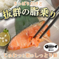 銀鮭 定塩 甘塩 切身 10切入り 約600g 送料無料 チリ産 骨付き 1切60-70g 訳あり 鮭 切り身 冷凍 しゃけ さけ 魚 惣菜 焼くだけ 調理 簡単 焼き魚 焼魚 おかず 酒の肴 つまみ お弁当 食品