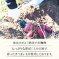 干し芋 【1kg】 茨城県産 訳あり 無添加  紅はるか【ゲリラセール】
