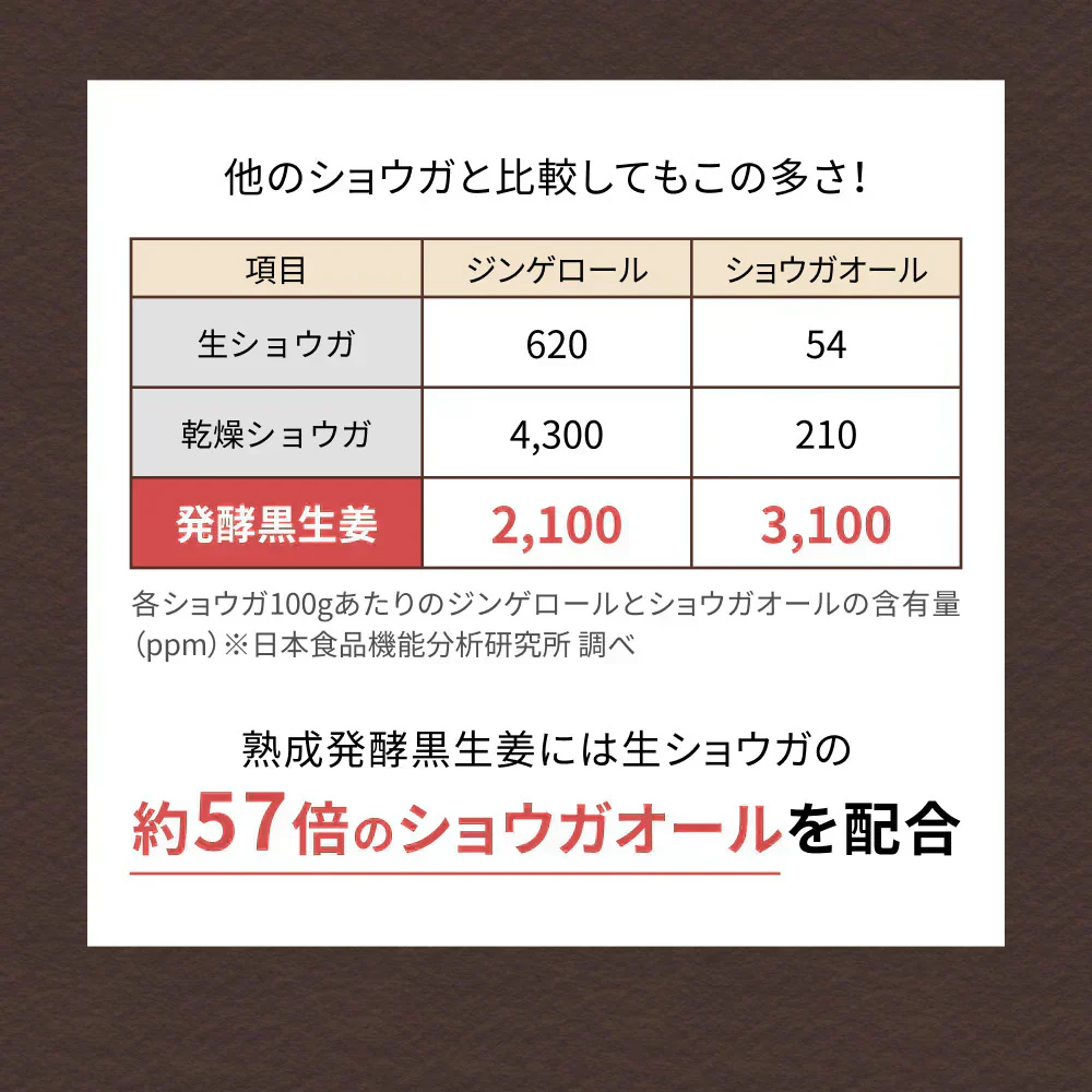 風土日和 国産 ジンジャーシロップ 無添加 熟成発酵黒生姜使用 賞味期限：2026年4月4日 | オーガライフ