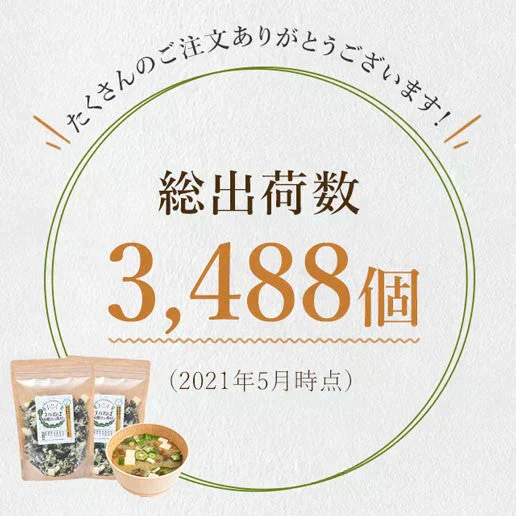 70g(35g×2) ヌルねば味噌汁の具材 送料無料