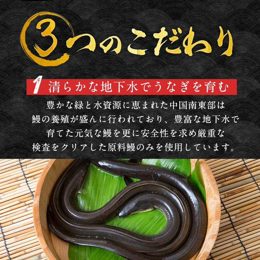 うなぎ 蒲焼き 国産ではございませんがふっくら柔らか 肉厚 超特大 五尾セット 250g前後×5パック ウナギ 鰻 およそ15人前 たれと山椒付き 土用 丑の日 長焼き 訳あり 送料無料