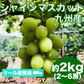 【クール便発送】シャインマスカット 約2kg(2〜6房) 熊本産・福岡・大分産  80サイズ