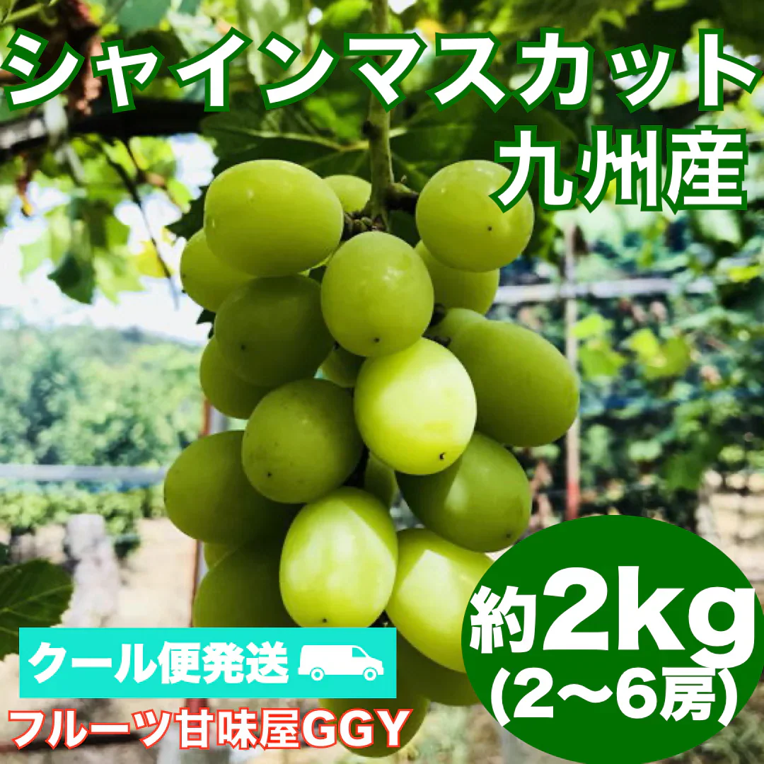 【クール便発送】シャインマスカット 約2kg(2〜6房) 熊本産・福岡・大分産  80サイズ