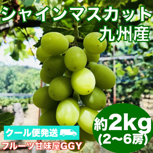 【クール便発送】シャインマスカット 約2kg(2〜6房) 熊本産・福岡・大分産  80サイズ