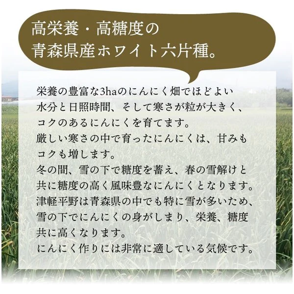 青森県産にんにくスライス (乾燥) 20g 3袋セット