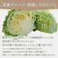 乾燥野菜 100g×1袋【青森のねぎ香るミックス】やさいマルシェ 無添加 ブドウ糖不使用 簡単 無駄なし 時短 青森産 アウトドア 災害常備菜 長期保存 食物繊維 国産