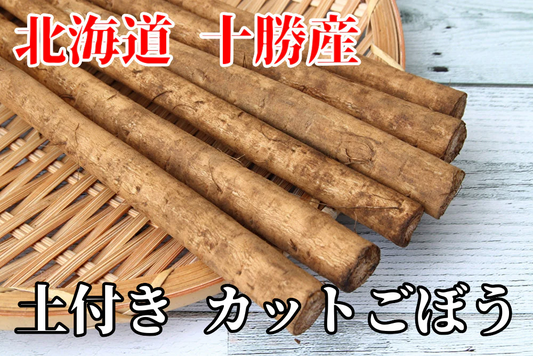 北海道 十勝産 訳アリ品 ごぼう B品 30cmカット 土付き 野菜 (10kg)  ゴボウ