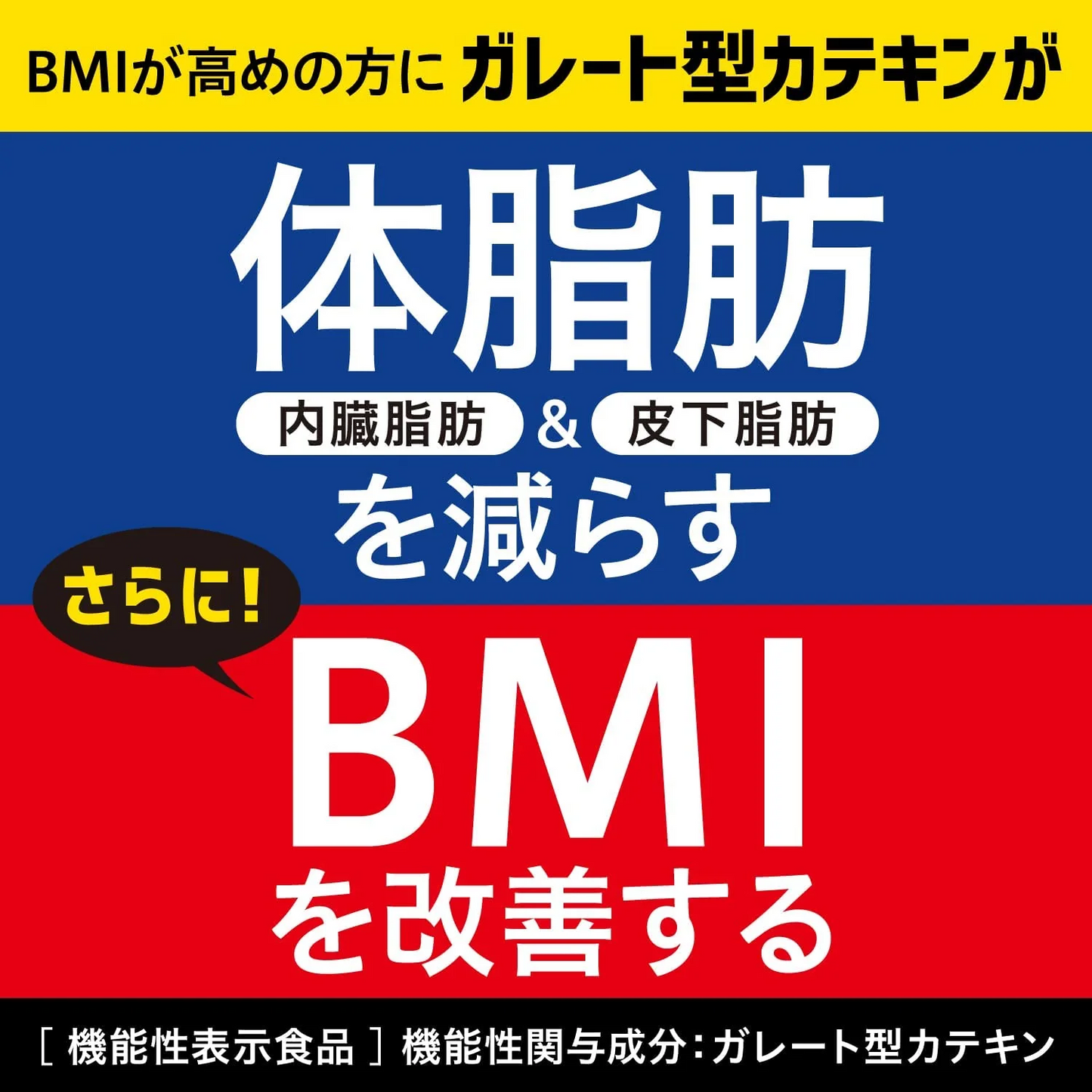 【送料無料】伊藤園 お〜いお茶 濃い茶 1000ml×1ケース/12本