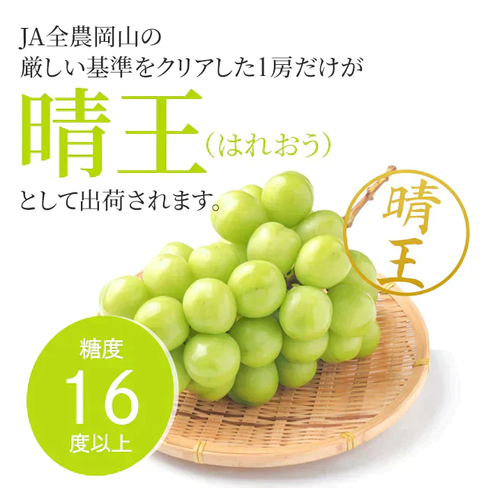 【9月上旬順次発送】送料無料 岡山産 シャインマスカット 晴王 訳あり 1房600グラム ぶどう ギフト お供え プレゼント 贈り物 お土産 シャインマスカット晴王