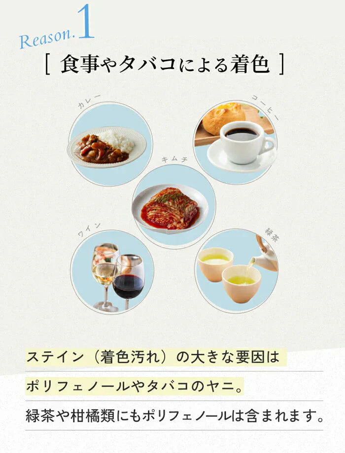 【単品】パールホワイト ホワイトニング 歯を白くする 歯ブラシ 薄型ヘッド 毛の硬さ：ふつう 日本製 自宅 ホームホワイトニング プレミアム 歯ブラシ