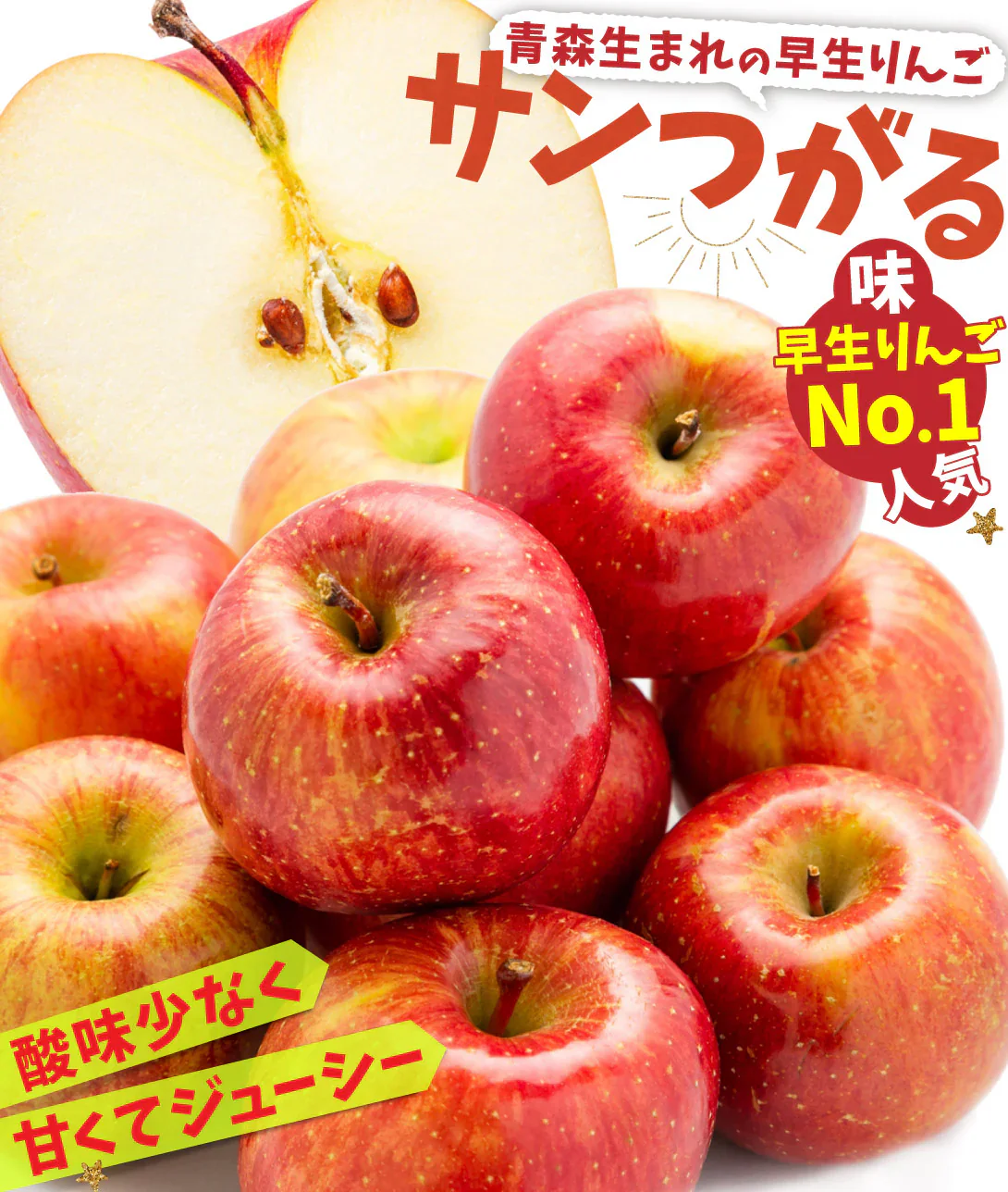 りんご 青森産 サンつがる 約3kg