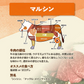 各100ｇ 3種 仙台牛 焼き肉 贅沢食べ比べセット BBQ a5 和牛