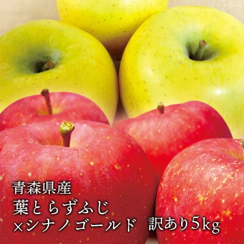 青森県産 訳あり 葉とらず ふじ × シナノゴールド りんご 5kg(約14～18個)※11月下旬よりご予約順に発送【指定日不可】