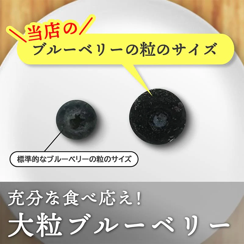 [みさわのやさい] ブルーベリー 冷凍 1kg (500g x 2パック) 大粒 カナダ産 砂糖不使用 そのまま食べられる
