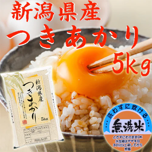 無洗米 5kg 送料無料 新潟県産 つきあかり 無洗米 5kg 米5kg 無洗米 ５キロ 安いお米 農家直送 米５キロ 無洗米 美味しいお米 産地直送