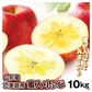 りんご 蜜入りサンふじ 山形産 10kg （発送予定：12月上旬より）