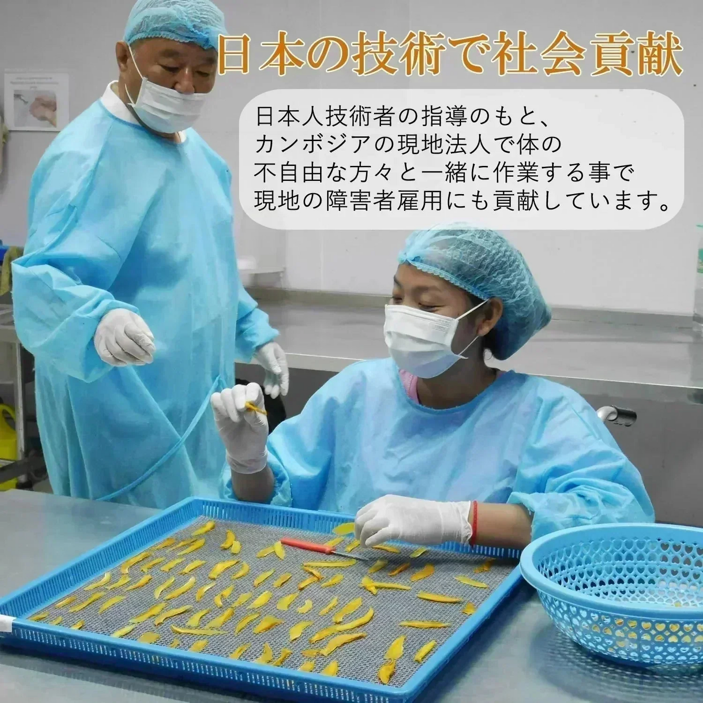 【30g】大地の生菓 無添加 ドライフルーツ パイナップル  送料無料 砂糖 保存料 不使用 お試し 製菓材料【KF】