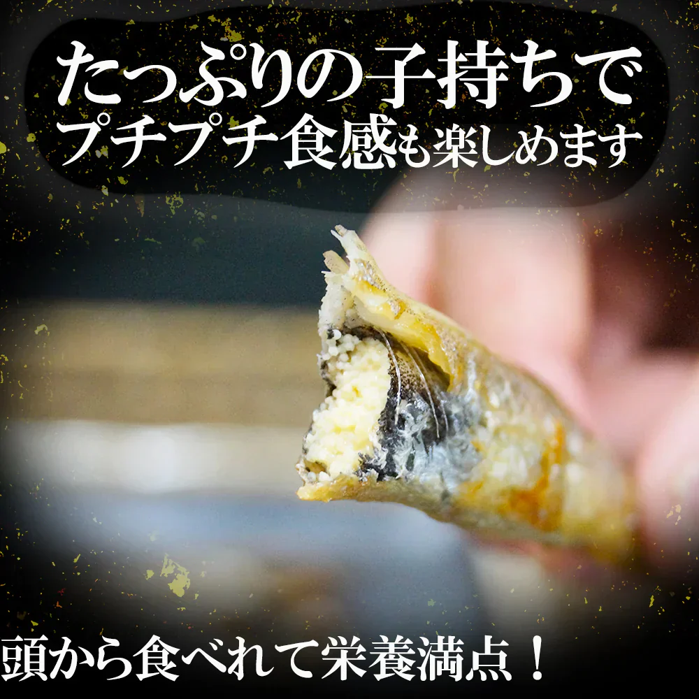 子持ち シシャモ 一夜干し 山盛り1kg(ジッパータイプ) アイスランド産 タイ国内生産 シシャモ  おつまみ