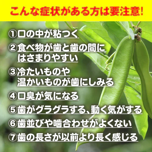 『なた豆歯磨き（★お得な2本セット★）』 ナタ豆 なた豆 なたまめ ナタマメ ハミガキ 歯みがき はみがき 口臭 ネバネバ 虫歯 ホワイトニング 歯石