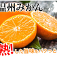 みかん 温州みかん 送料無料 訳あり 2kg 2セット購入で1kgおまけ 3セット購入で3kgおまけ 熊本県産 熊本みかん 蜜柑 ミカン
