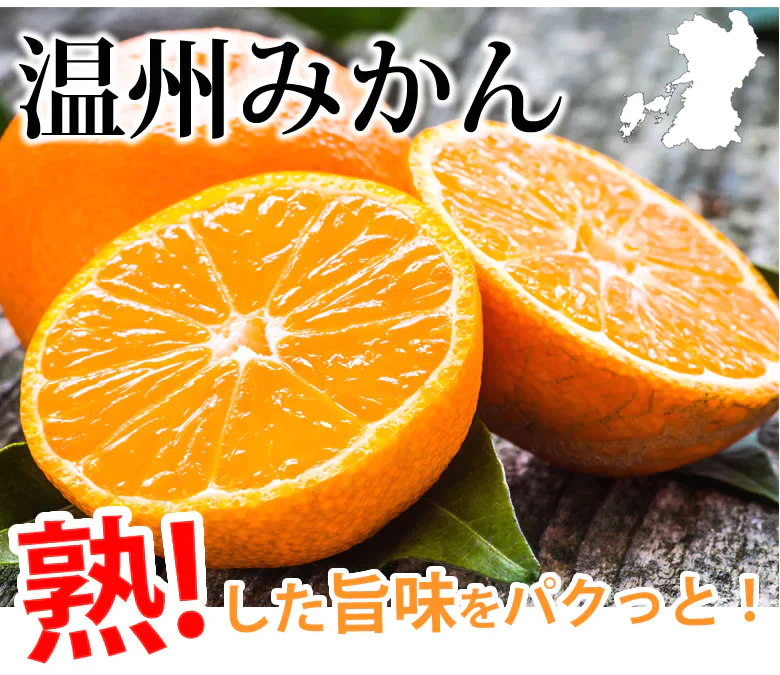 みかん 温州みかん 送料無料 訳あり 2kg 2セット購入で1kgおまけ 3セット購入で3kgおまけ 熊本県産 熊本みかん 蜜柑 ミカン
