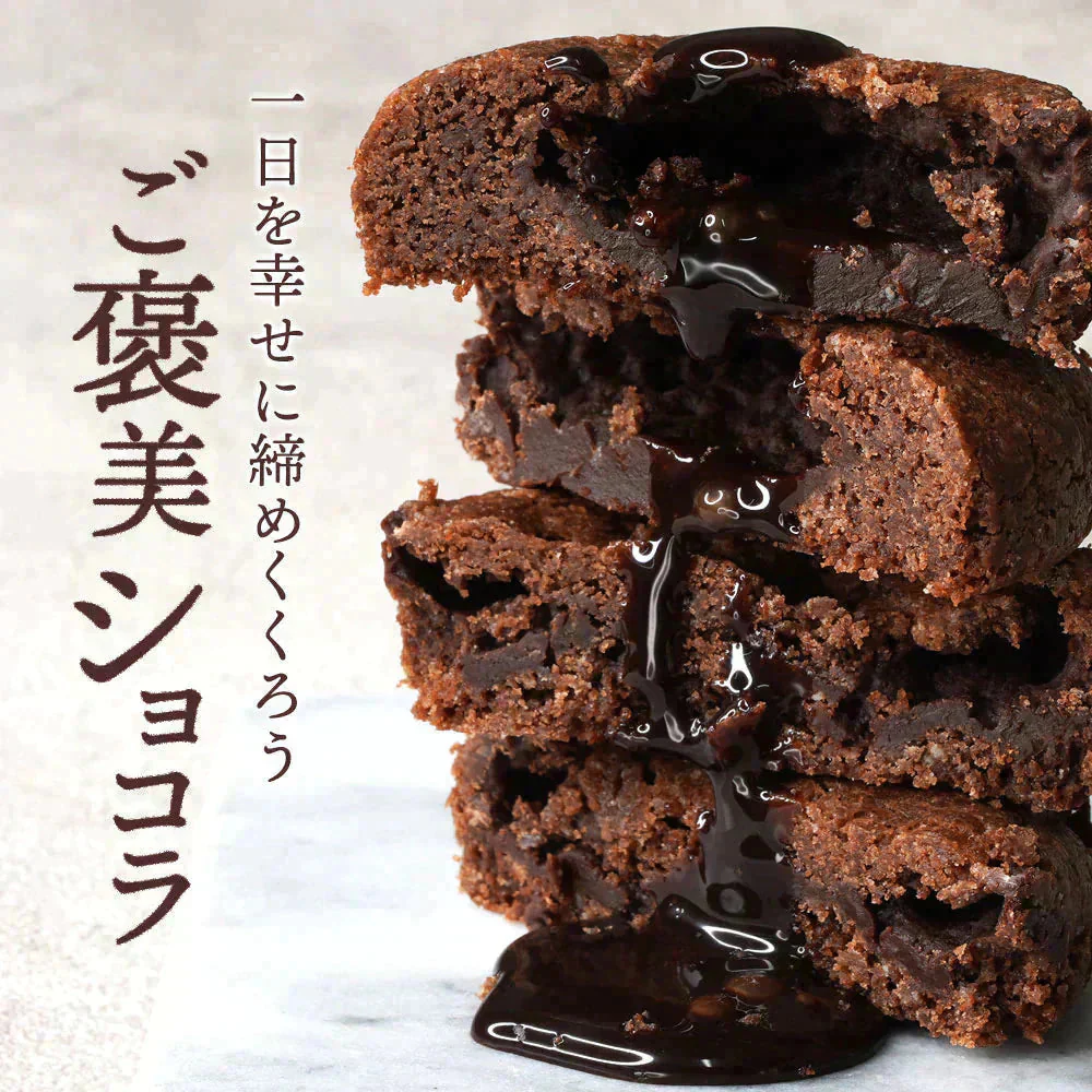 夜のご褒美 クーベルチュール フォンダンショコラ 12個 (6個入×2箱セット)
