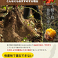 【熊本コレクション】種子島産 訳あり 安納芋 4kg 送料無料 さつまいも  サイズ大中小不揃 希少 《3-7営業日以内に発送予定(土日祝日除く)》