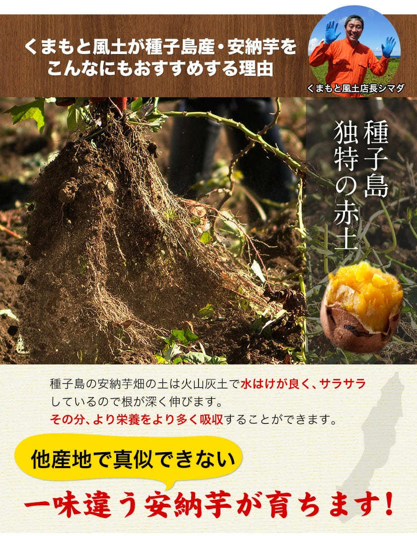 【熊本コレクション】種子島産 訳あり 安納芋 4kg 送料無料 さつまいも  サイズ大中小不揃 希少 《3-7営業日以内に発送予定(土日祝日除く)》