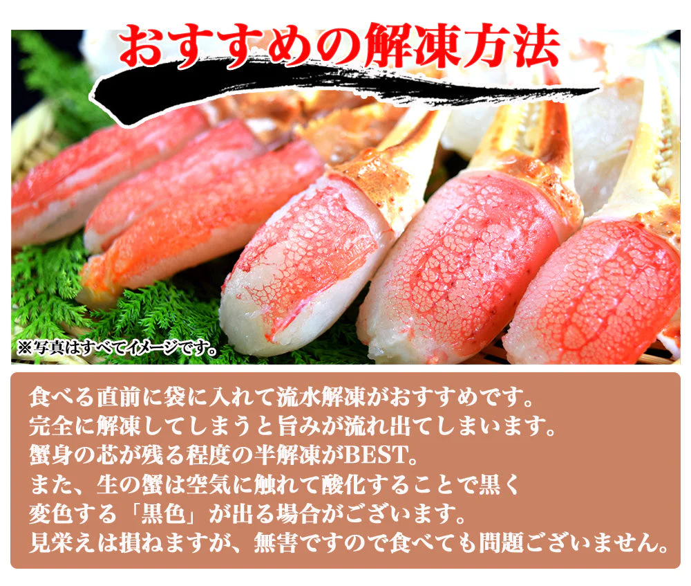 ズワイガニ ずわい蟹 カニ爪 500g カニ爪ポーション 蟹爪 かにつめ むき爪 カニしゃぶ カニ鍋 shr-013