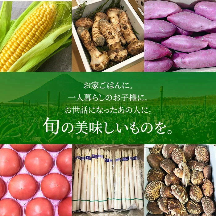 送料無料 野菜セット 10品セット おまかせ野菜セット 野菜詰め合わせ お試し野菜セット 西日本野菜セット フードロス 岡山 複袋 福袋 送料込 も ったいない 人気 安い 野菜宅配 おすすめ プレゼント ギフト 実用的 父の日 ギフト 福袋 お正月
