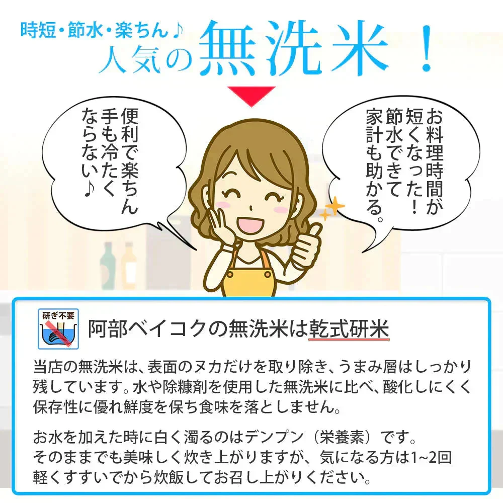 ひとめぼれ 無洗米 5kg 山形県産 令和7年産 送料無料 米 5キロ こめ コメ お米 精米 新米 お米5kg ひとめぼれ5kg ひとめぼれ5キロ