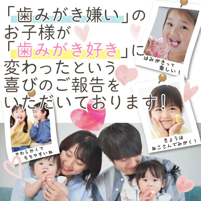 歯ブラシ Ciキッズ歯ブラシ グニー Mふつう 1箱(12本入)【メール便送料無料】
