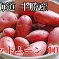 【じゃがいもよりサツマイモに近い味わい】北海道 十勝産 レッドムーン 土付き S~Lサイズ じゃがいも 芋 ジャガイモ 浦幌町 (10kg)