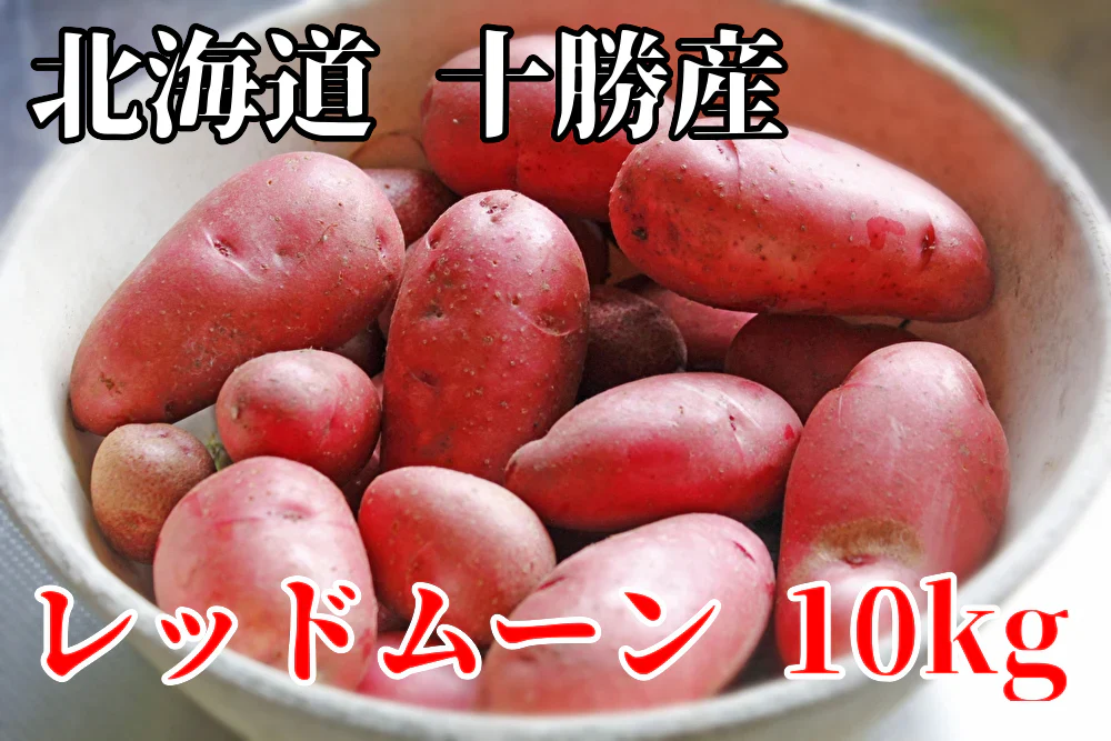 【じゃがいもよりサツマイモに近い味わい】北海道 十勝産 レッドムーン 土付き S~Lサイズ じゃがいも 芋 ジャガイモ 浦幌町 (10kg)