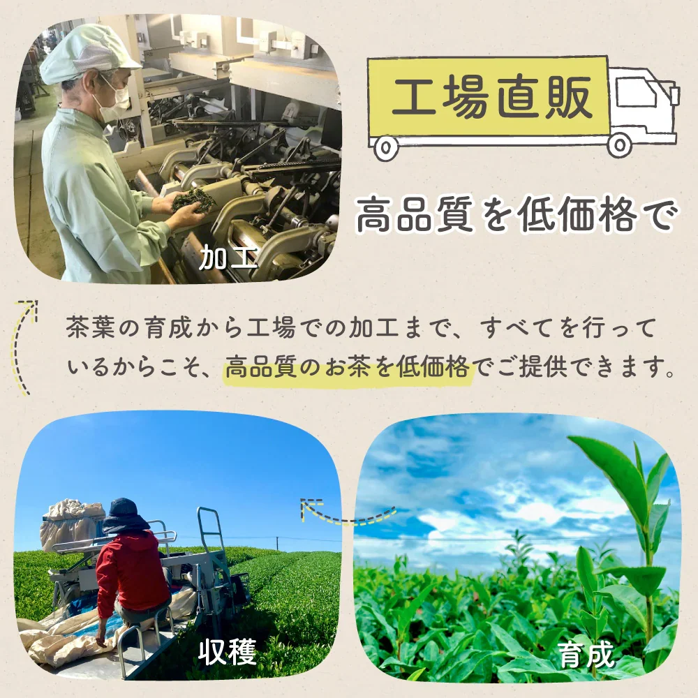 鬼棒ほうじ茶 ティーバッグ 40個入 ノンカフェイン ほうじ茶 お茶 ティーパック 棒茶 棒ほうじ茶 カフェインフリー 静岡 静岡茶 ノンカフェイン カフェインレス カフェインゼロ 送料無料 ほうじ 国産