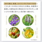 しみ 薬用美白原液エビスビーホワイト10ml トラネキサム酸 グリチルリチン酸ジカリウム 肌荒れ ニキビ メB