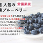 冷凍ブルーベリー（100g）6個入り化粧箱詰め　贈り物にも最適なギフト箱入り