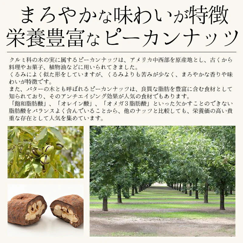 ピーカンナッツ チョコレート 100g（1袋） キャラメル ピーカンナッツチョコ ココア ナッツ チョコ バレンタイン スイーツ お菓子 贈り物 美味しいもの ［送料無料］ ギフト プレゼント ※ポスト投函商品の発送は1～2週間前後になります